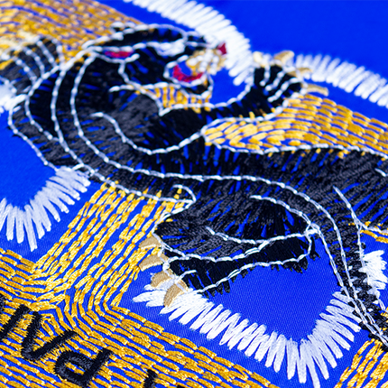 Brother BE EmbroideryStudio Software