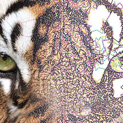 Brother BE EmbroideryStudio Software